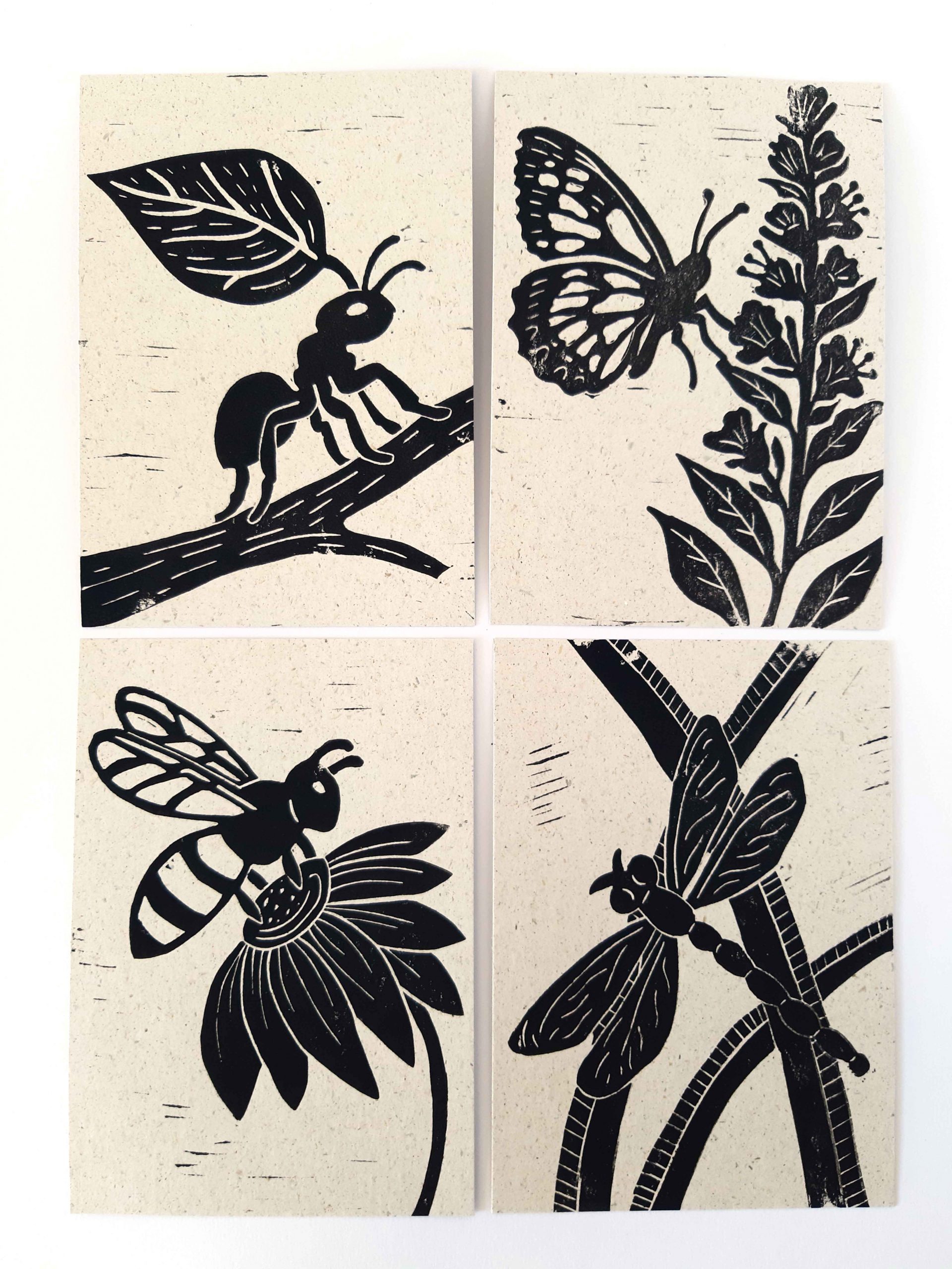 Postkartenset mit Insektenmotiven – Bild 6