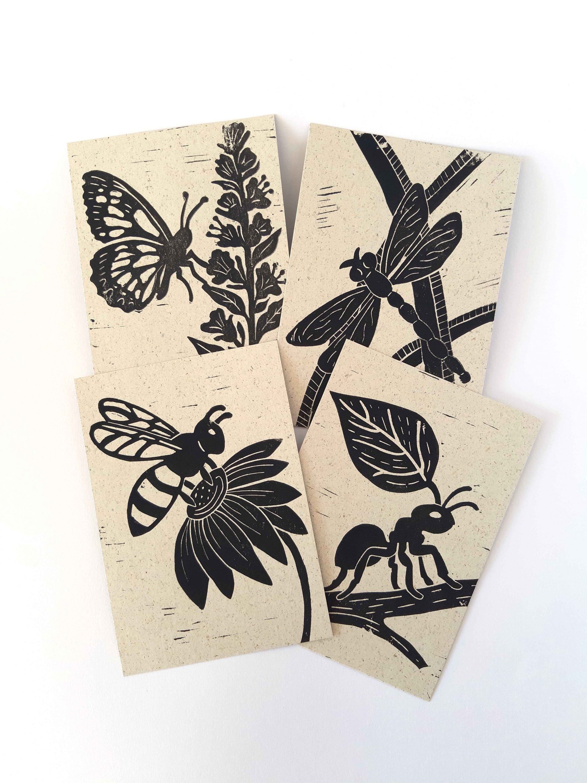 Postkartenset mit Insektenmotiven