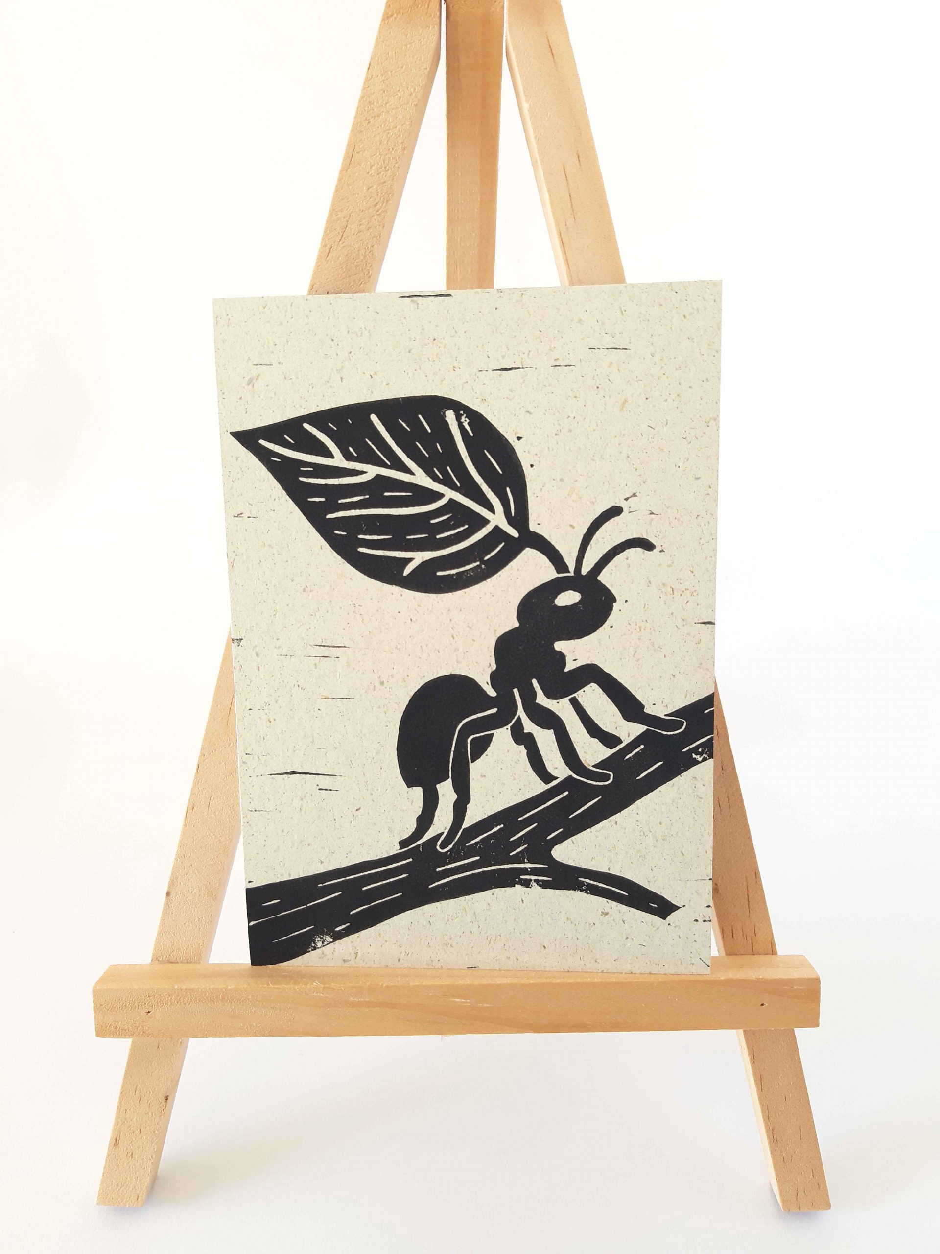 Postkartenset mit Insektenmotiven – Bild 2