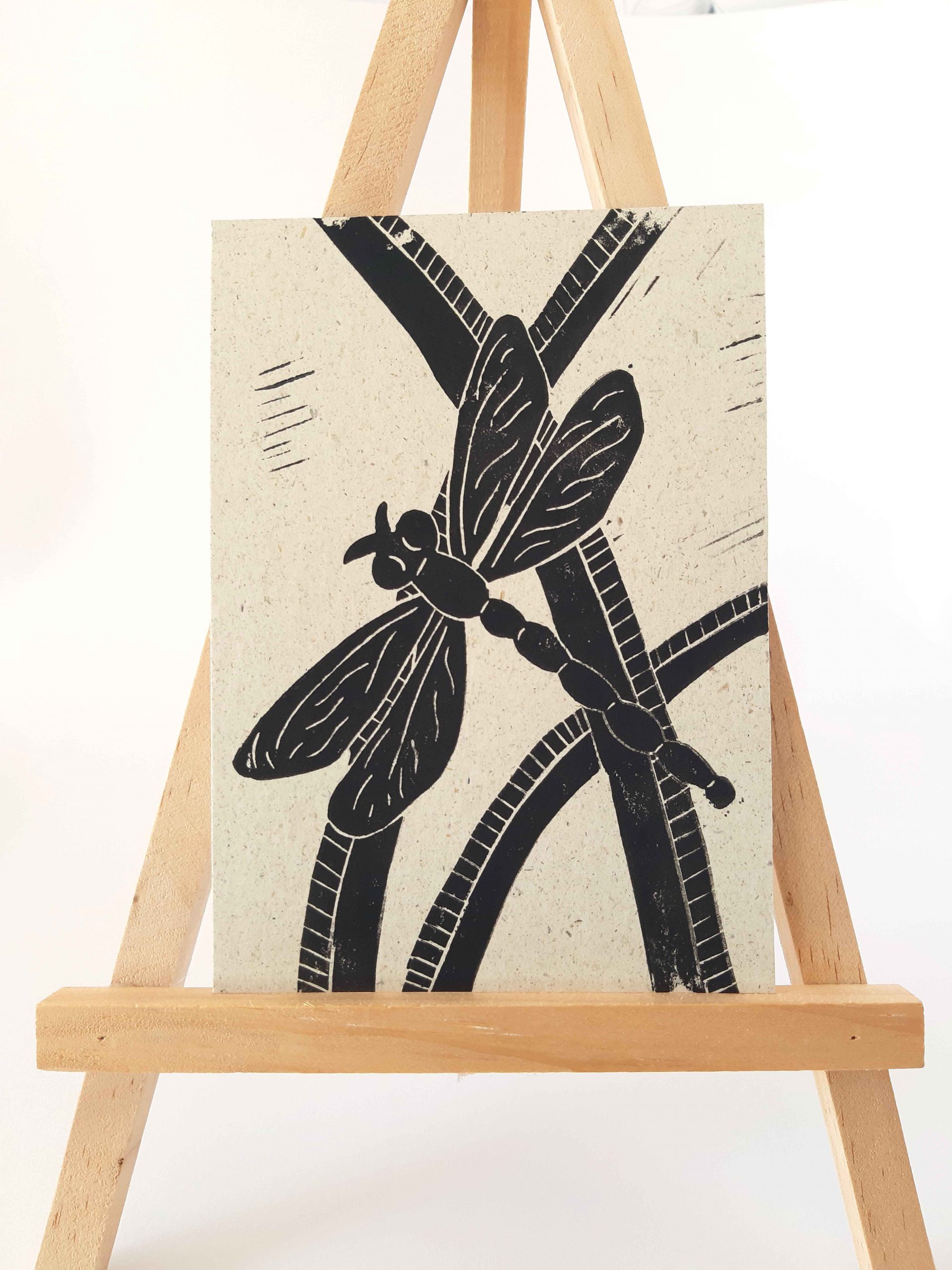 Postkartenset mit Insektenmotiven – Bild 4